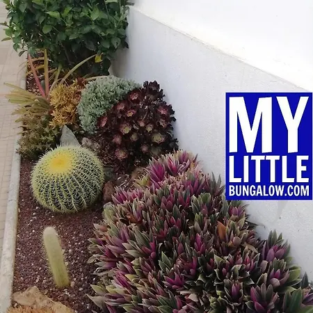 My Little 度假居