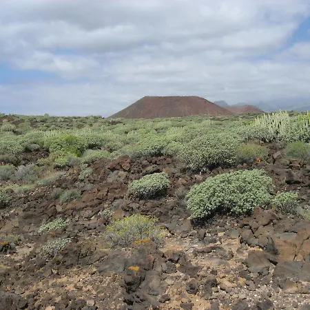 My Little 滨海帕尔姆