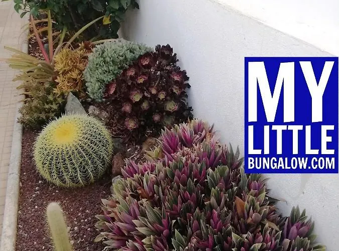 My Little Dom wakacyjny