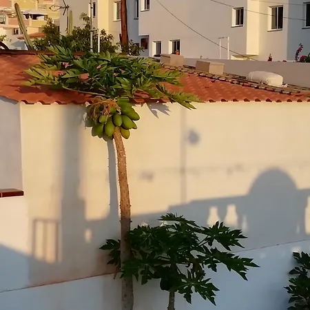 My Little Semesterbostad Palm-mar