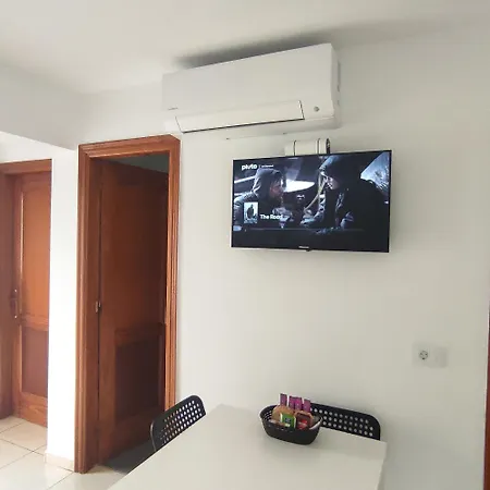 My Little * Palm-mar