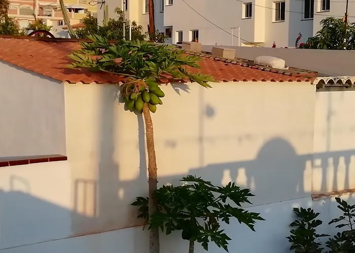 My Little Casa vacanze Palm-mar